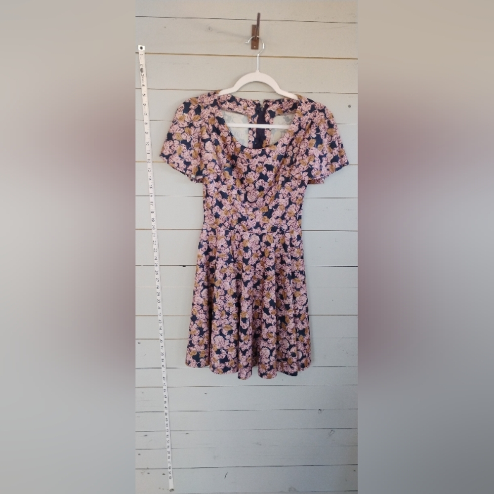Pink and Blue Fit and Flare Mini Dress with Flutter Sleeves